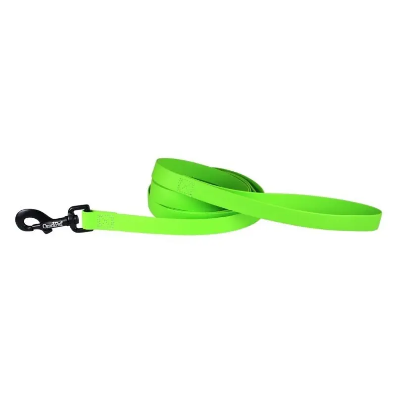 Carnival Waterproof 6ft Dog Leash