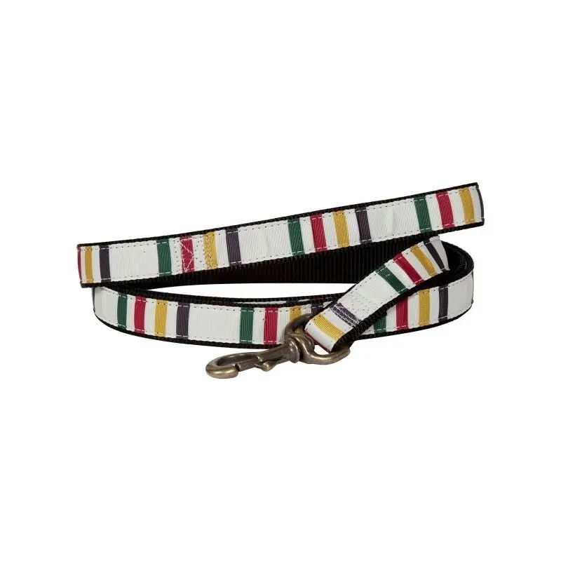 Pendleton Hiker Glacier Dog Leash