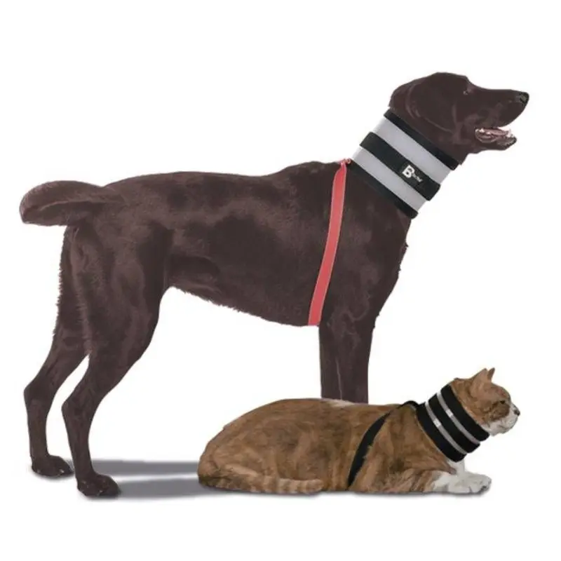 BiteNot Collar for Dogs and Cats 5 x 21