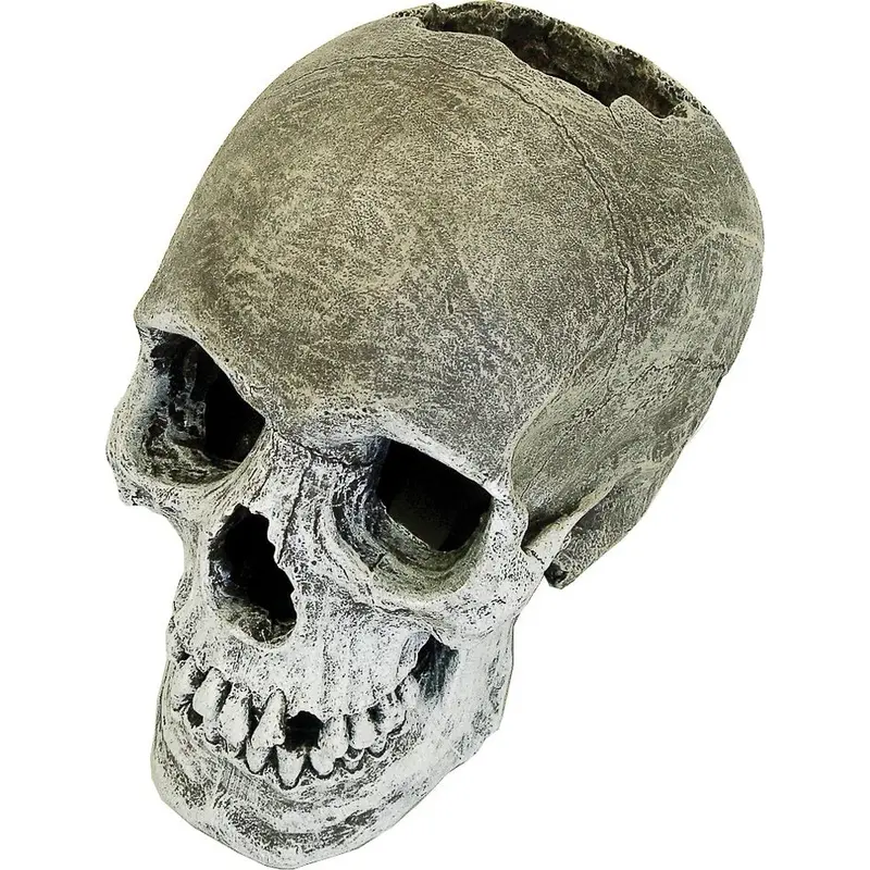 Blue Ribbon Human Skull Tank Ornament