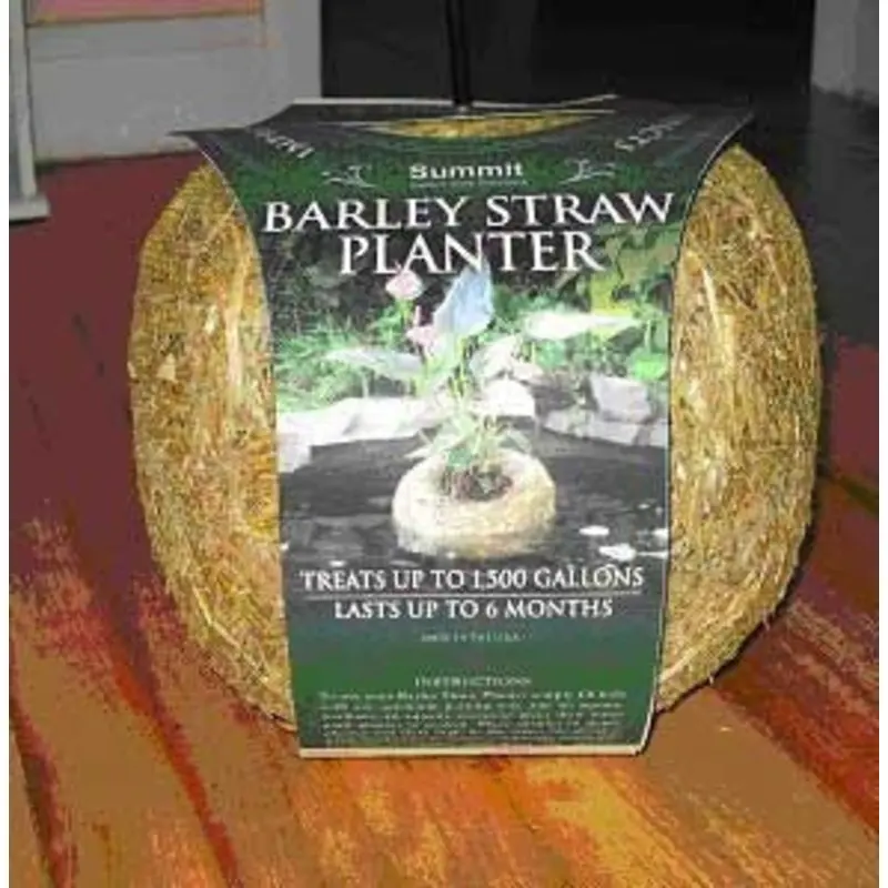 Summit Barley Straw Planter