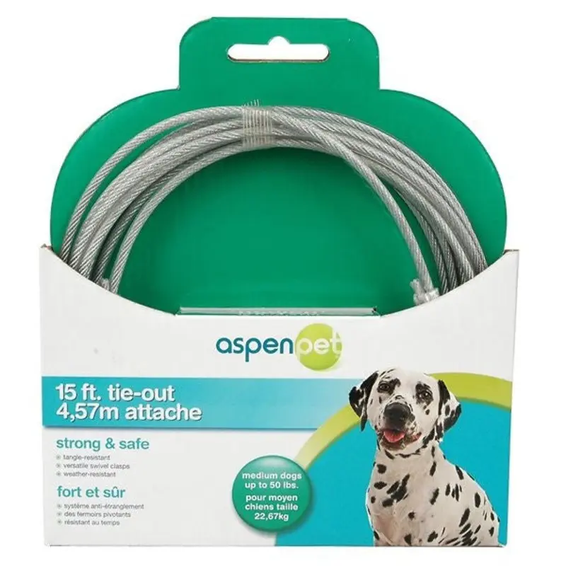 Aspen Pet Dog Tie Out Medium