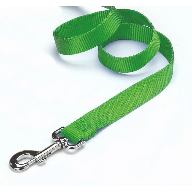 Nylon Lead With Snap For Dogs 24 x 16.25 x 8 Mango