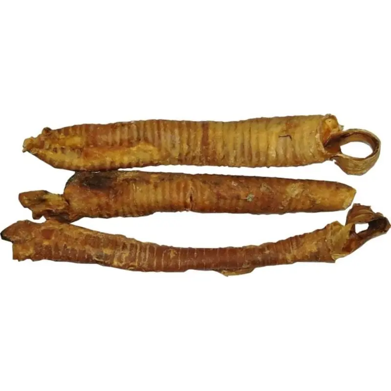 USA Lamb Trachea Hypoallergenic Chew Treat 7in