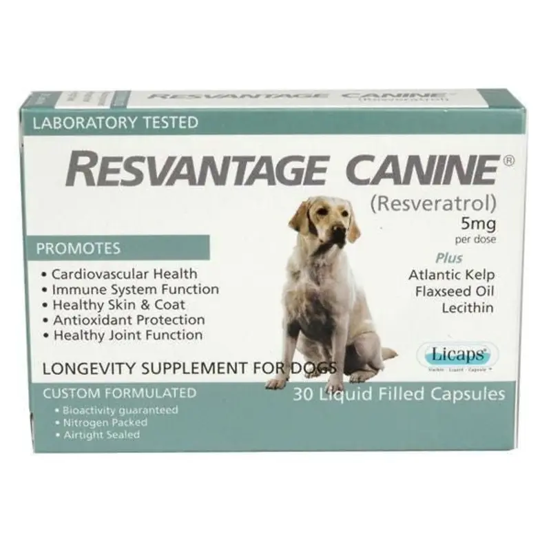 Resvantage Overall Canine Health