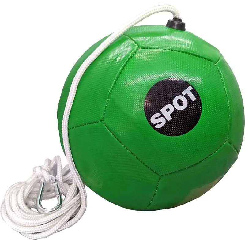 Spot Tether Ball Dog Toy With Rope