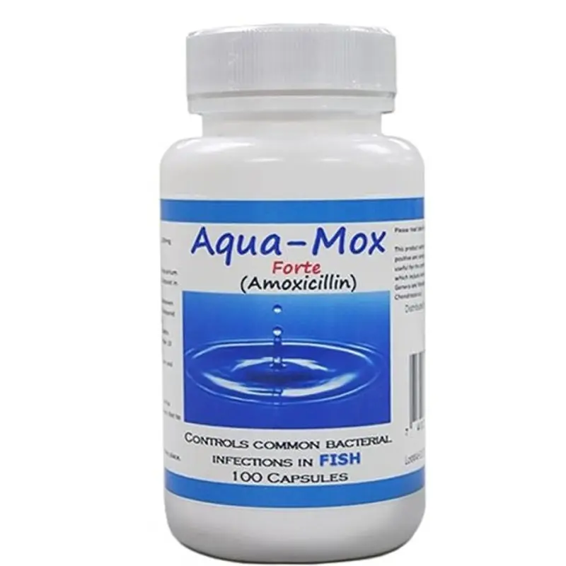 Aqua Mox Forte 500mg Capsules 100 Count