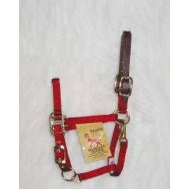 Adjustable Halter/Leather Headpoll 16x9x1.5 Blue
