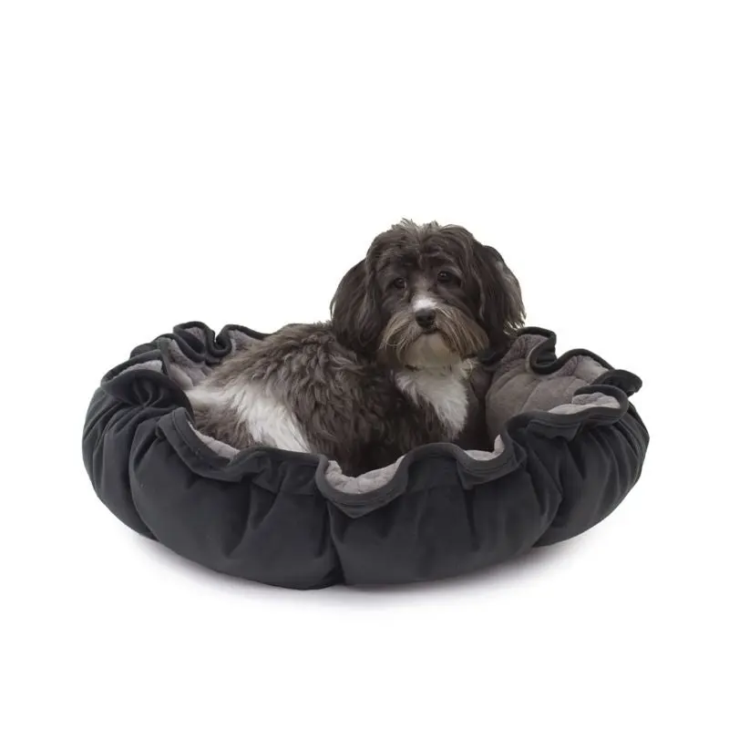 Carolina Pet Charcoal Lily Pad Bed