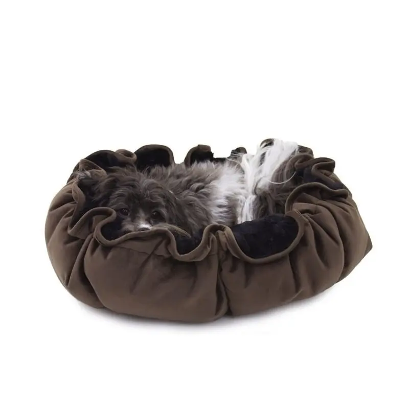 Carolina Pet Chocolate Lily Pad Bed