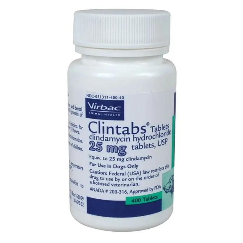 Clindamycin 25mg Tablets