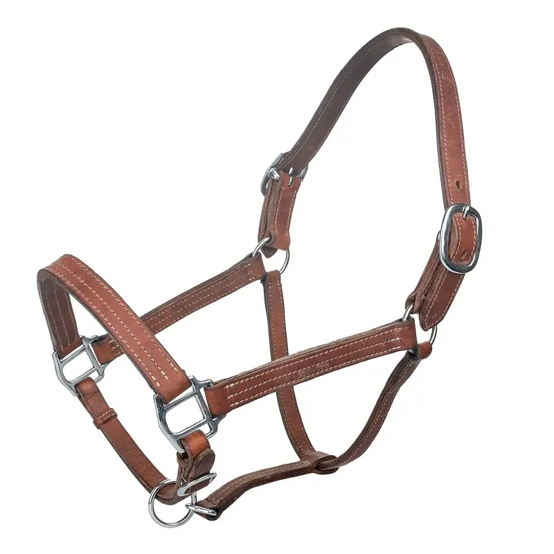 Tabelo Leather Halter with Adj Chin