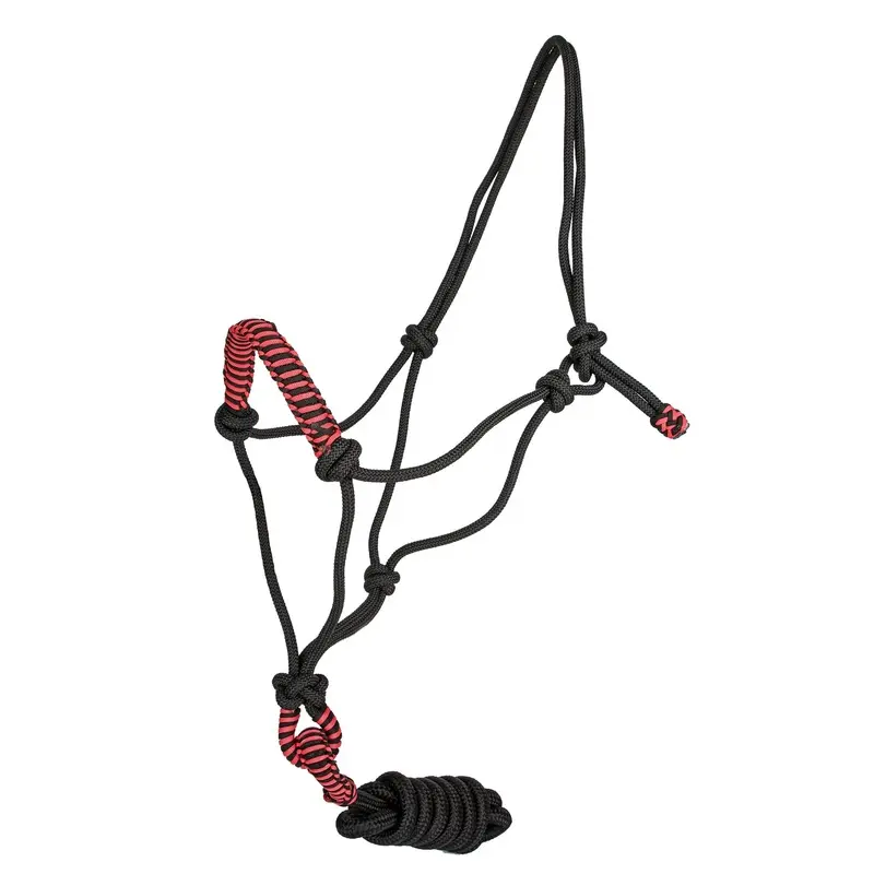 Tabelo Rope Halter with Lead
