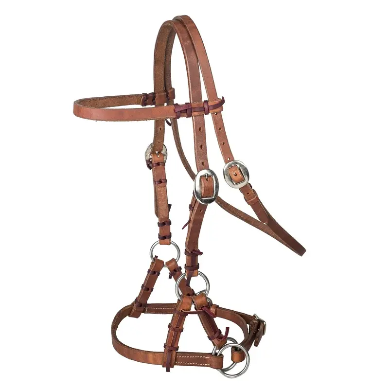 Tabelo Sidepull Brown with Latigo