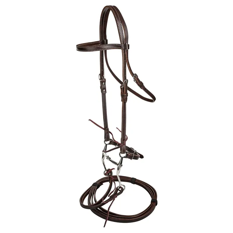 Tabelo Browband Bridle with Bit