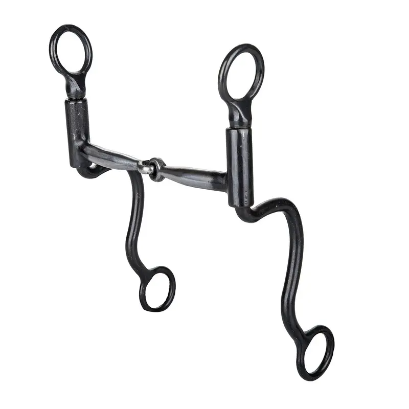 Tabelo Brushed Cavalry Curb Bit 5