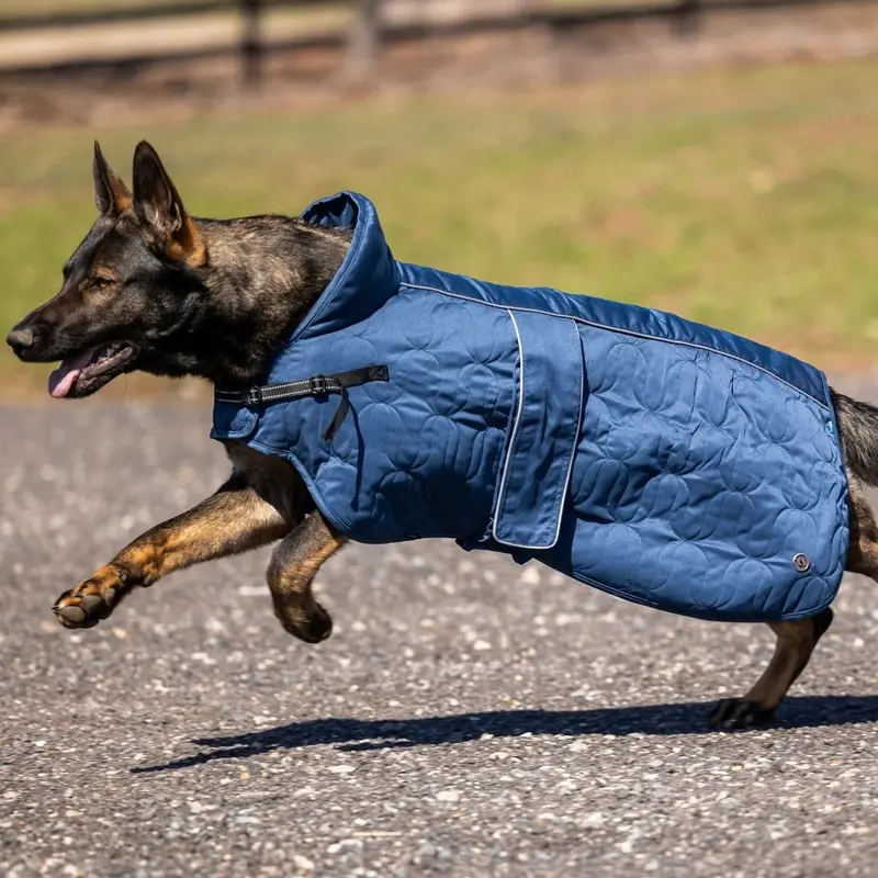 Back on Track Deep Nights Dog Coat