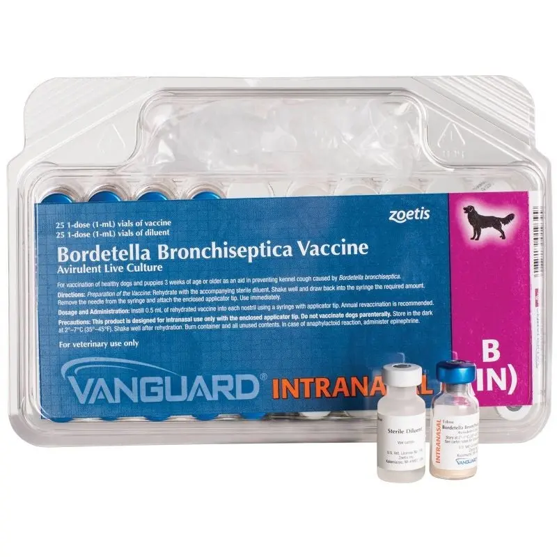 Vanguard B (in) Intranasal 25x1ml Canine Vaccine