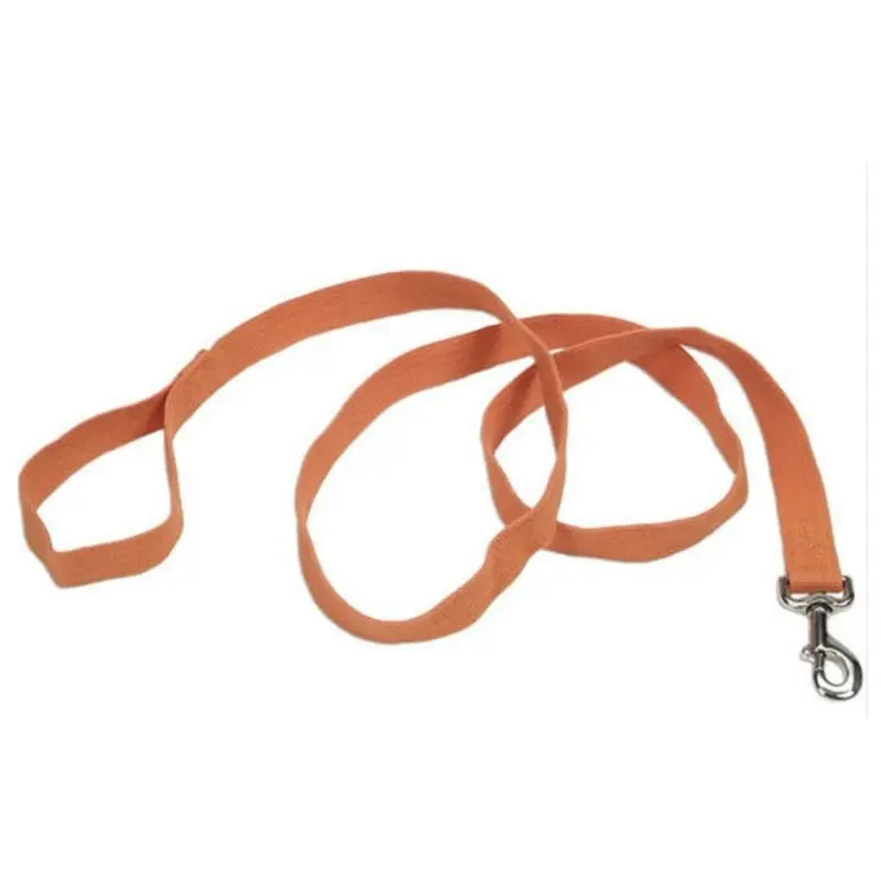 Personalized Soy Dog Lead