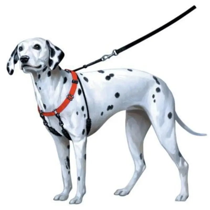 Sporn Pull-Control Dog Halter