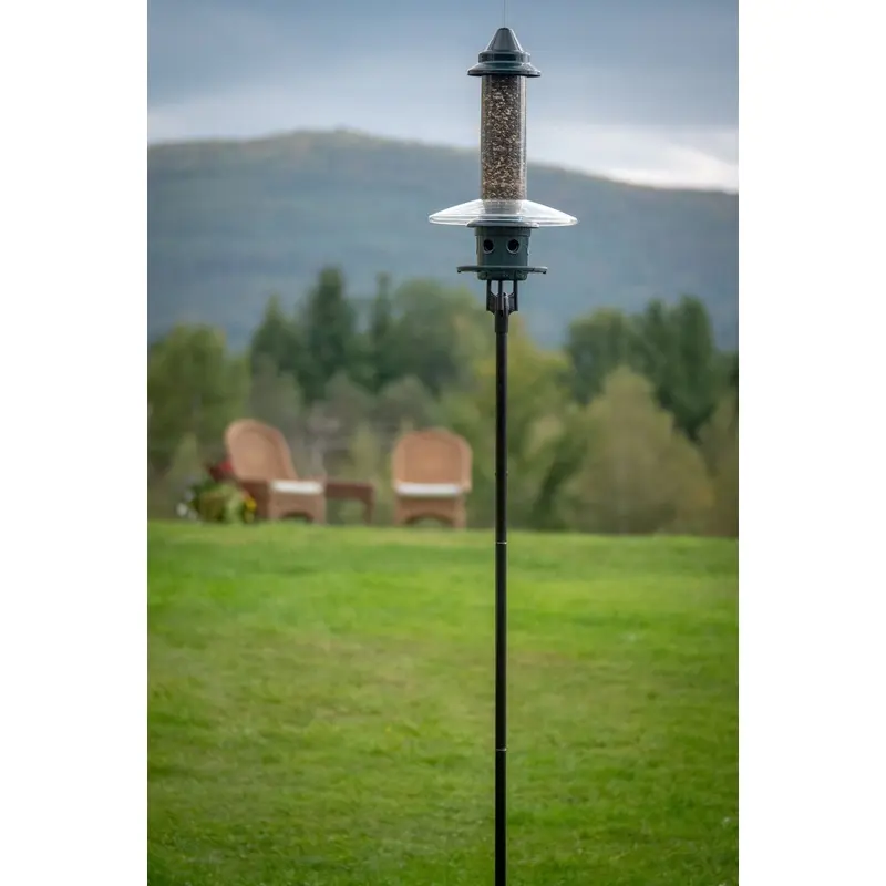 Brome Birdsup Single Pole