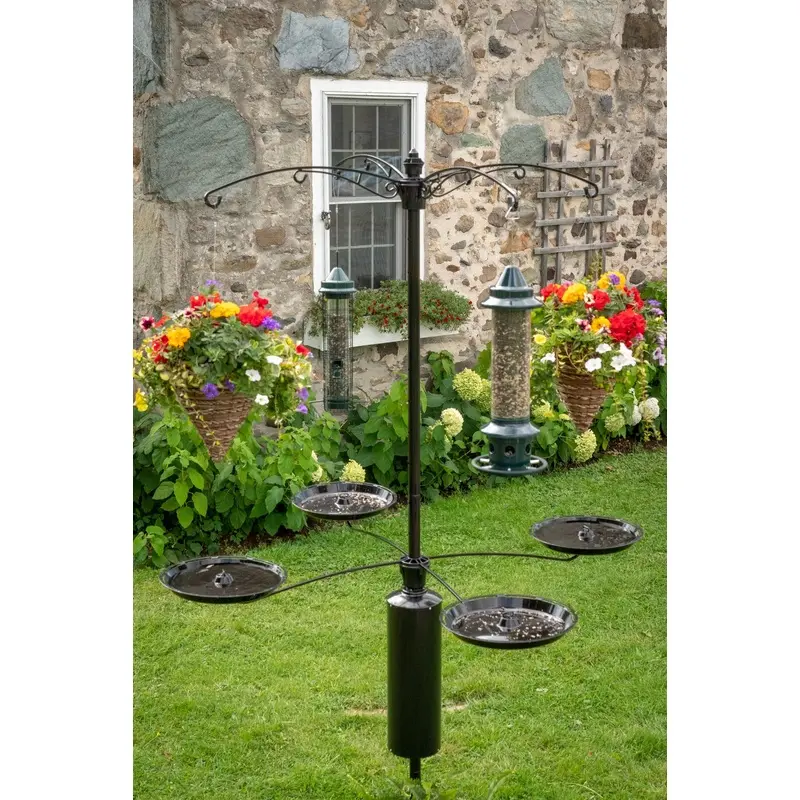 Brome Raccoon Buster Tray Kit