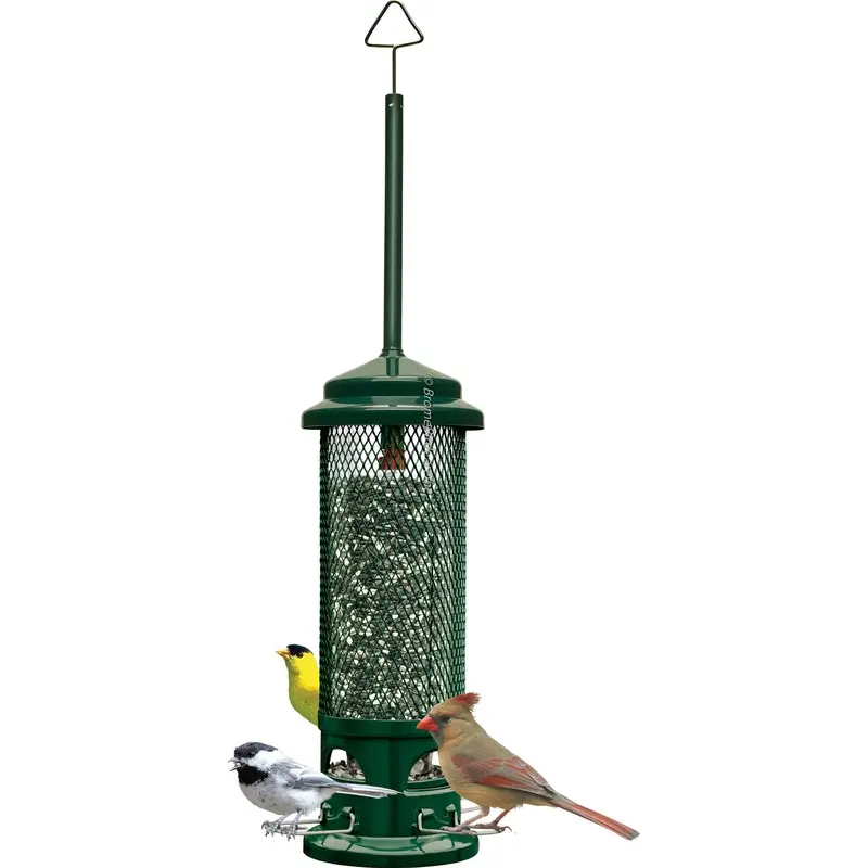 Squirrel Buster Legacy Wild Bird Feeder