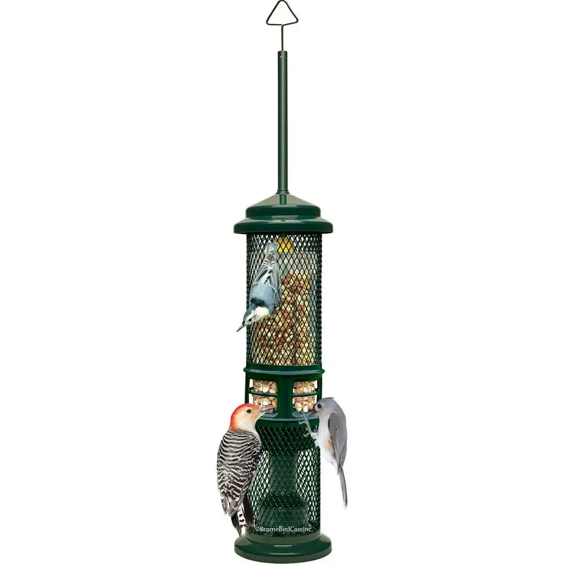 Squirrel Buster Nut Wild Bird Feeder