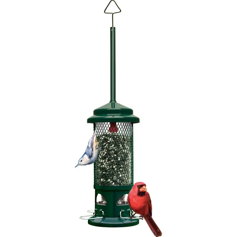 Squirrel Buster Standard Wild Bird Feeder