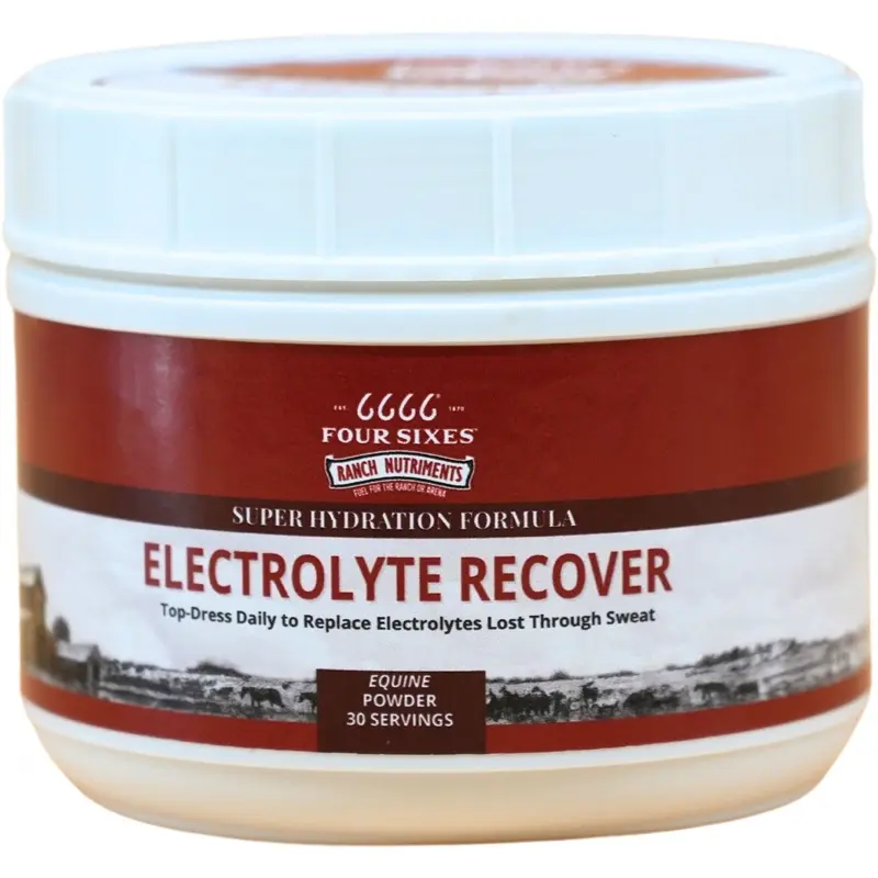 6666 Electrolyte Recover Powder