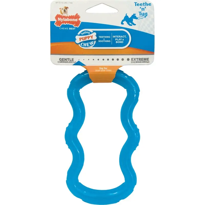 Nylabone Puppy Chew Tug Translucent SM Blu