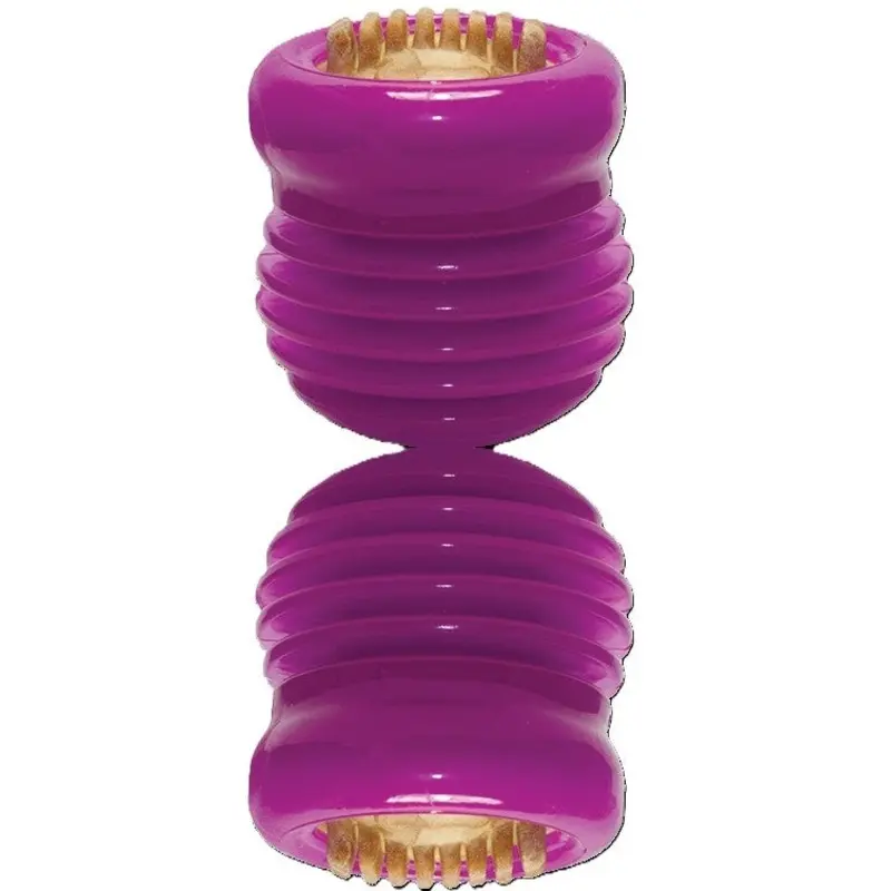 StarMark Everlasting Groovy Ball Dog Toy