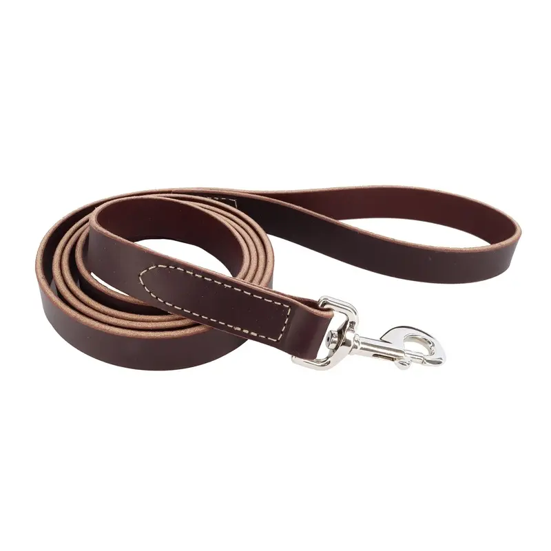 Circle T Latigo Leather Dog Leash 3/4" x 6'