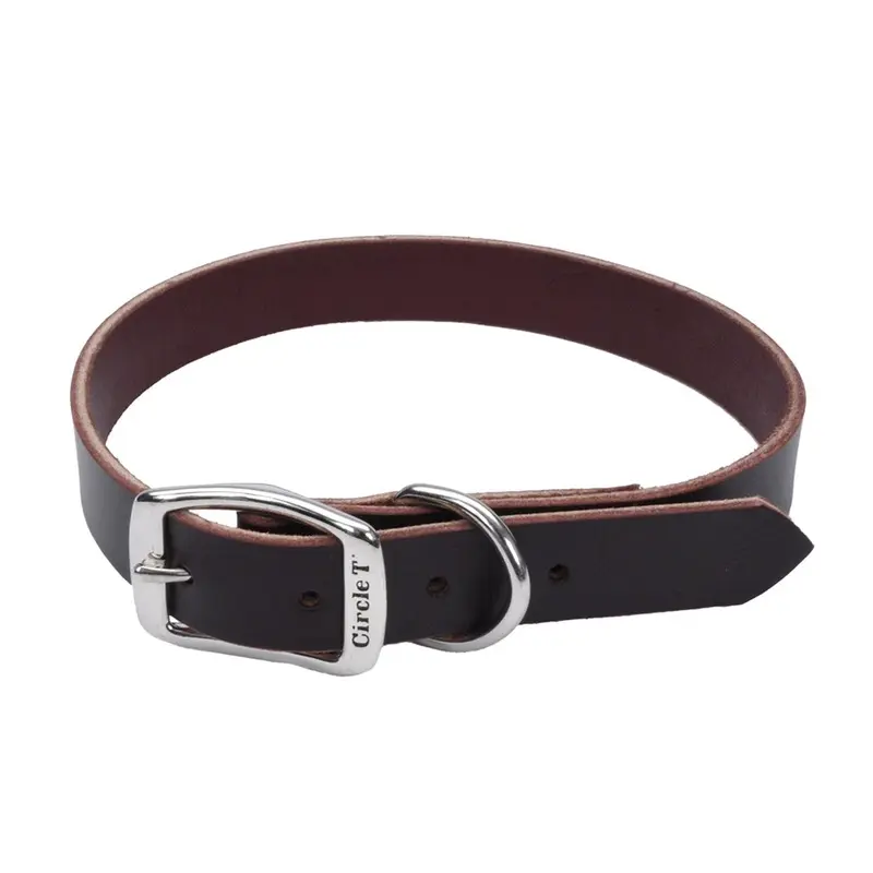 Circle T Latigo Leather Town Dog Collar, Medium 18"