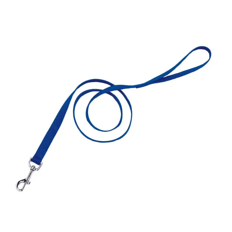 Coastal Single-Ply Dog Leash, Blue 1" x 6'
