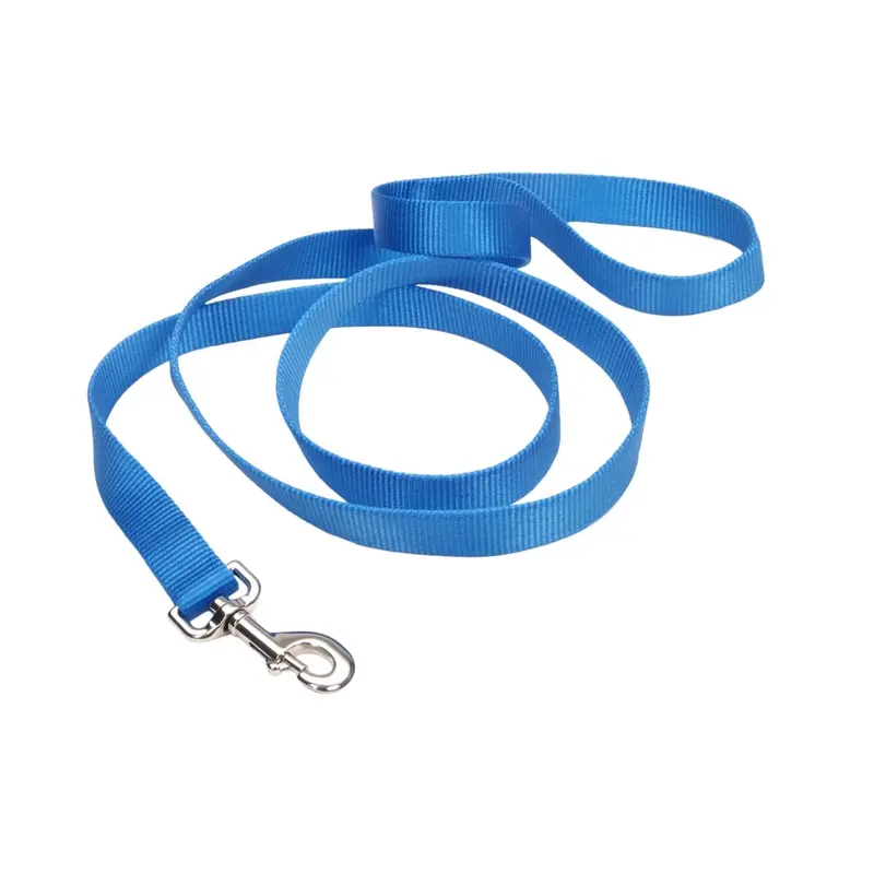 Coastal Single-Ply Dog Leash, Light Blue 5/8" x 6'