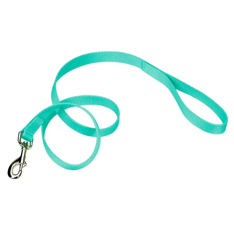 Coastal Single-Ply Dog Leash, Teal 1" x 6'
