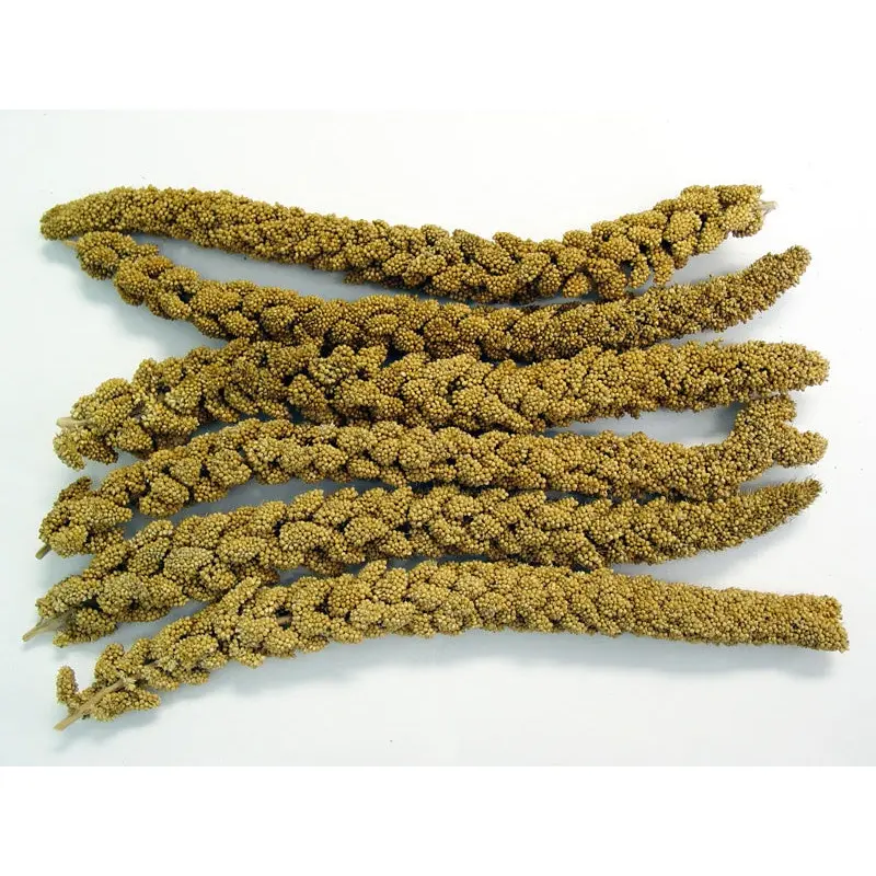 Higgins Spray Millet Treat