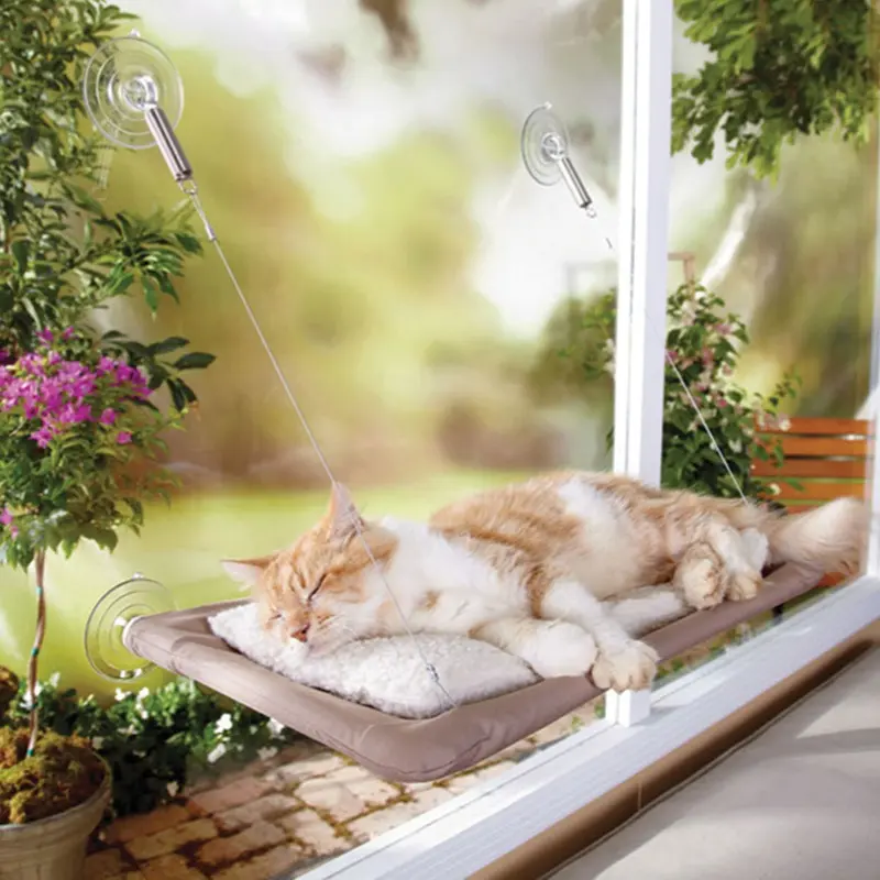 Sunny Seat Window Perch