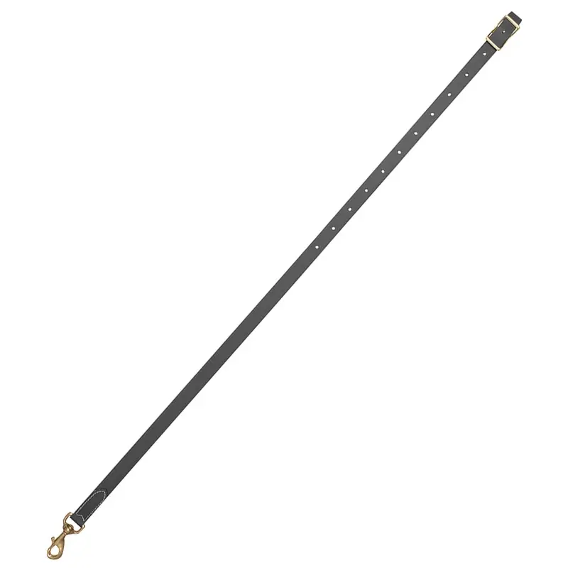 3/4" Classic Equine Biothane Tie Down Strap, Black