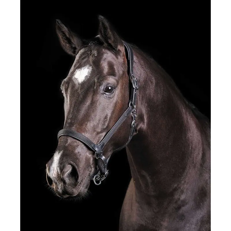 Collegiate ComFITec Halter