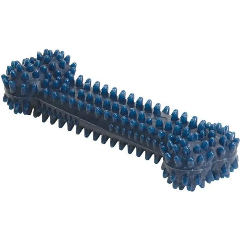Nylabone Dental Chew Bone