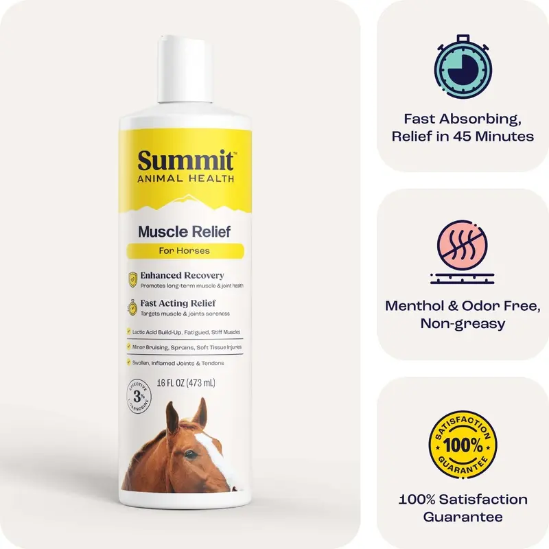 Summit Animal Health - Muscle Relief for Horses, 16 oz