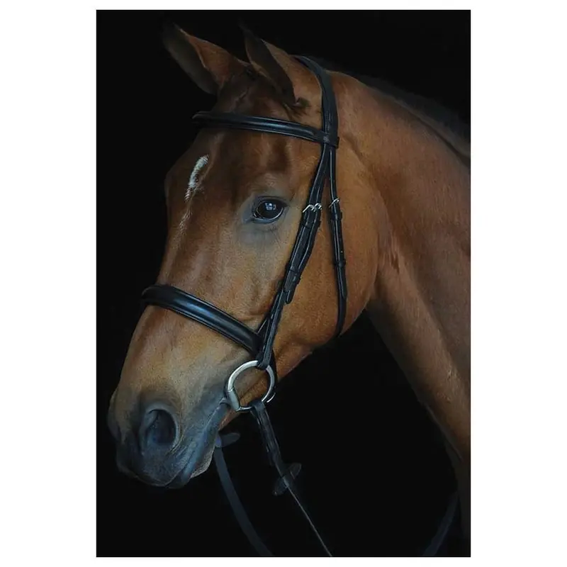 Collegiate Comfort Crown Padded Raised Cavesson Bridle