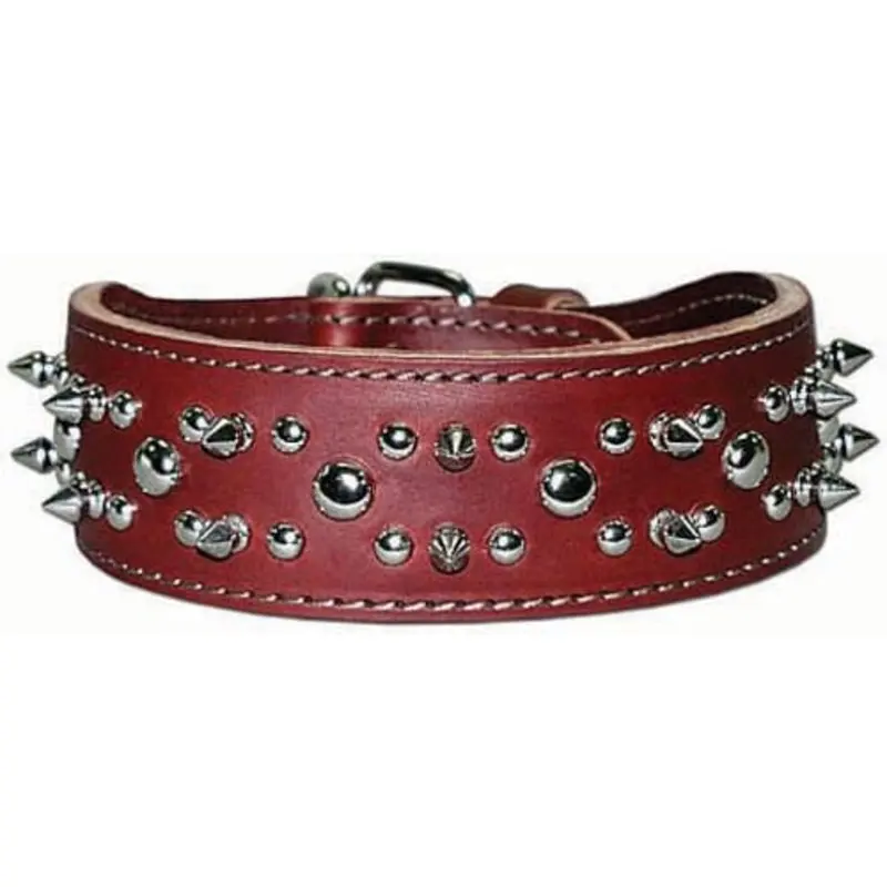Latigo Spike & Stud Collar, 21"