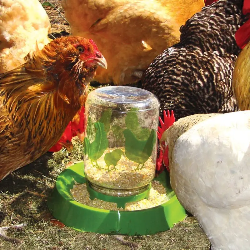 Lixit Chicken Waterer/Feeder