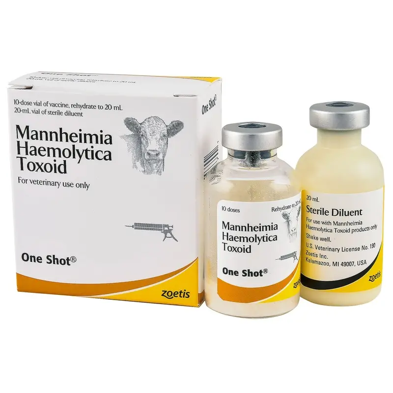 One Shot Pasteurella Vaccine for Cattle