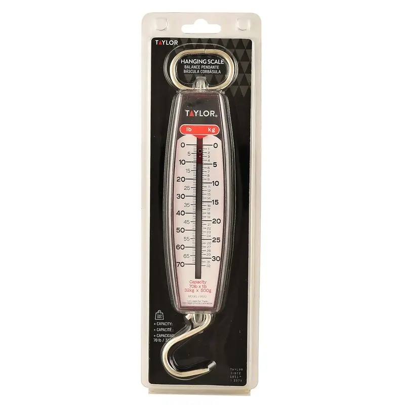 Taylor Hanging Scales