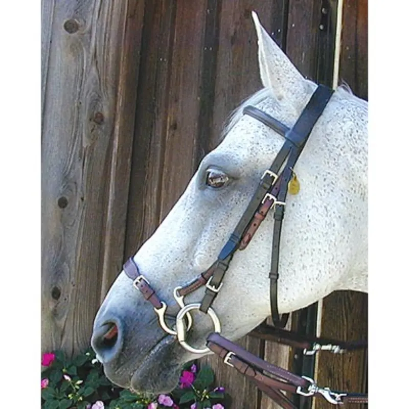 Kineton Noseband