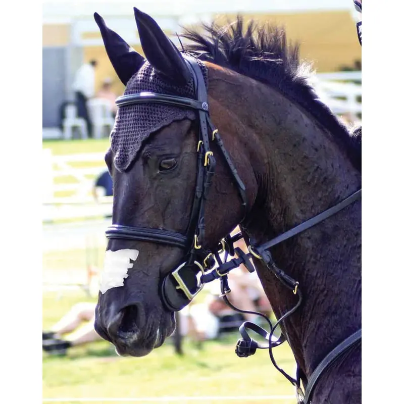 Flair Nasal Strips